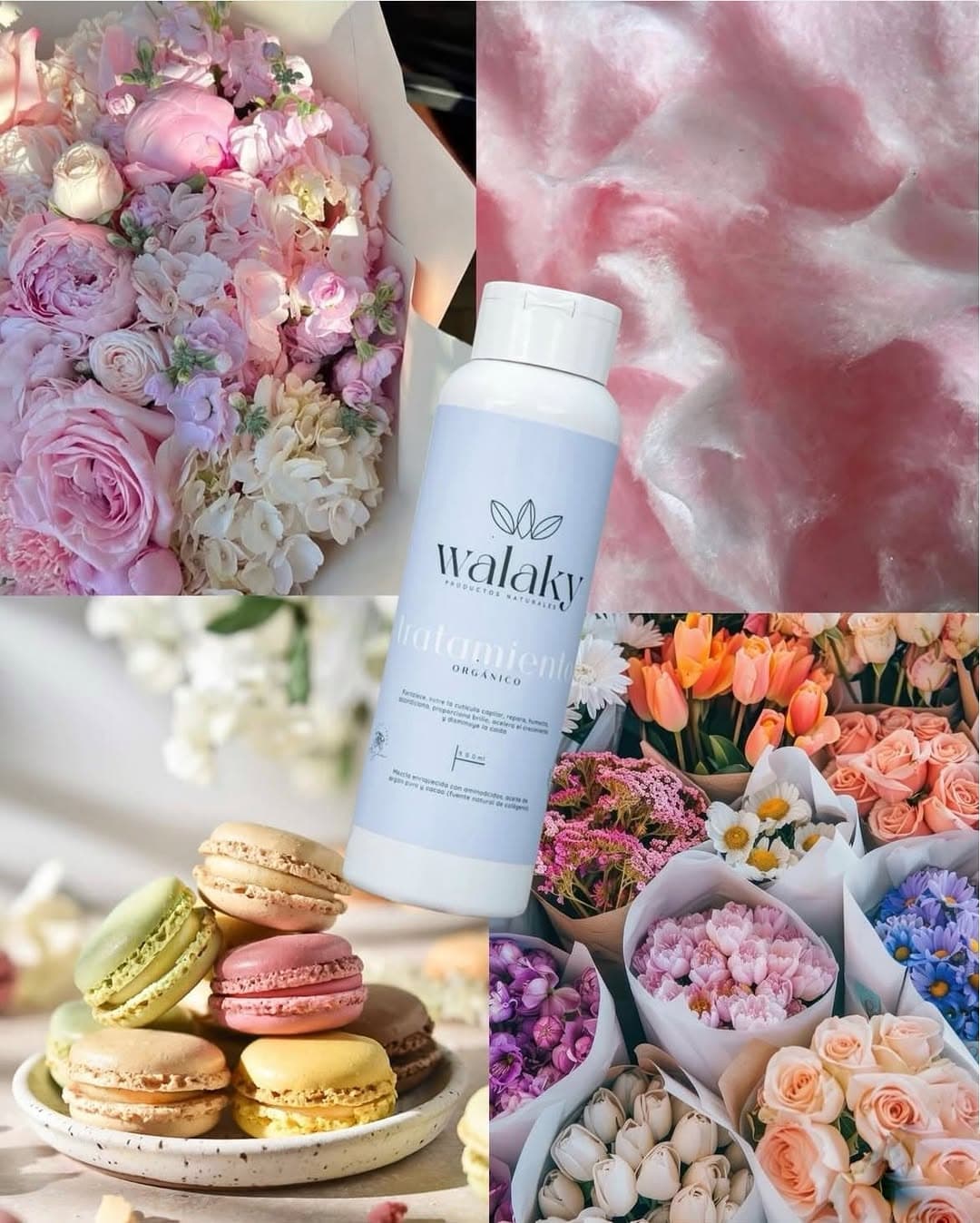 Skincare Valm Beauty